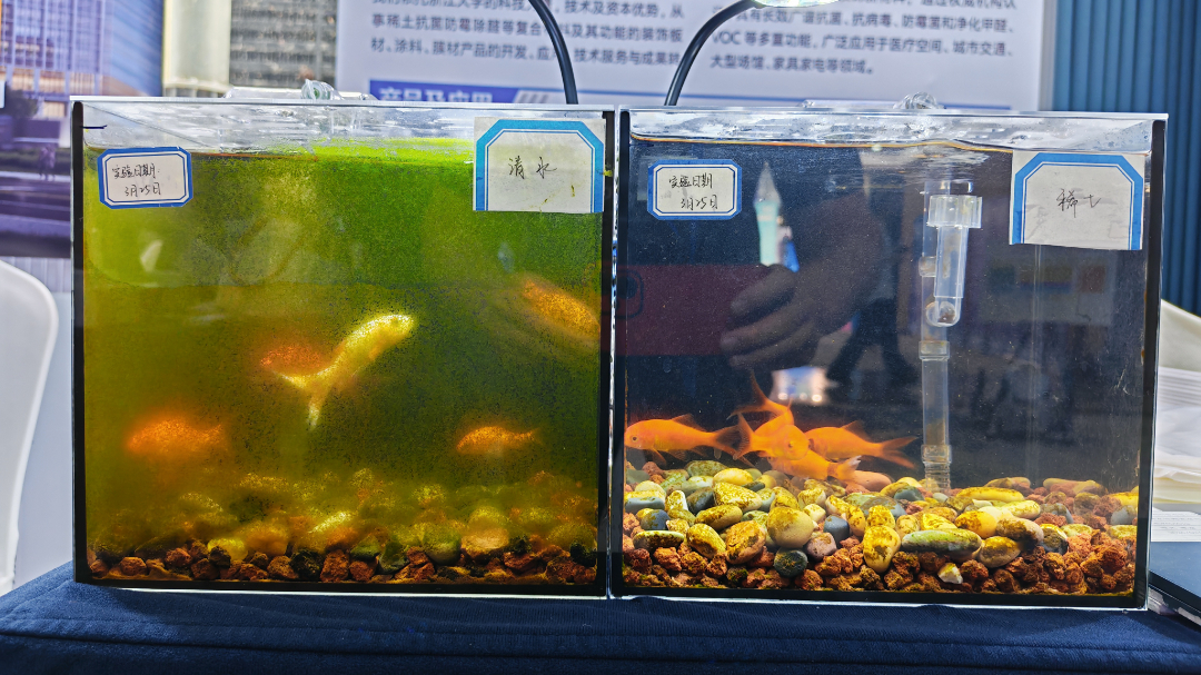 微信圖片_20260530113253_438_4.jpg