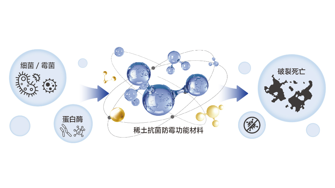 抗菌防霉技術(shù)_畫(huà)板 1_畫(huà)板 1.jpg