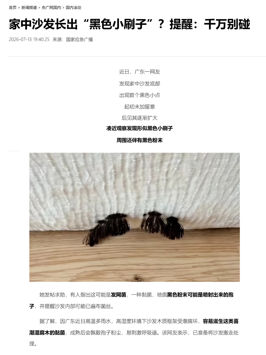 家中沙發(fā)長出“黑色小刷子”？提醒：千萬別碰_央廣網(wǎng)-1.jpg